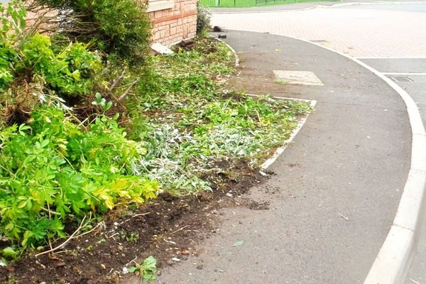 Our Landscaping Work, Somerset Our Landscaping Work, Somerset